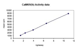 Eurofins DiscoverX CaM Kinase IV Protein, Active 10 &mu;g | Buy Online | Eurofins DiscoverX | Fisher Scientific
